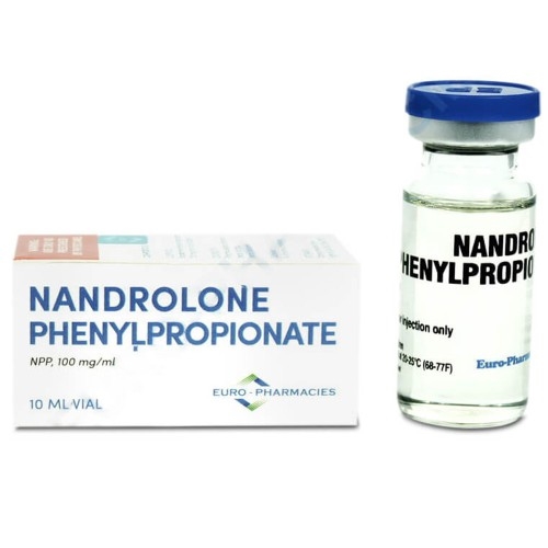 ppgd8eMQQpbUG3ju9y18